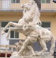 /album/fotogaleria/images-1-jpg/